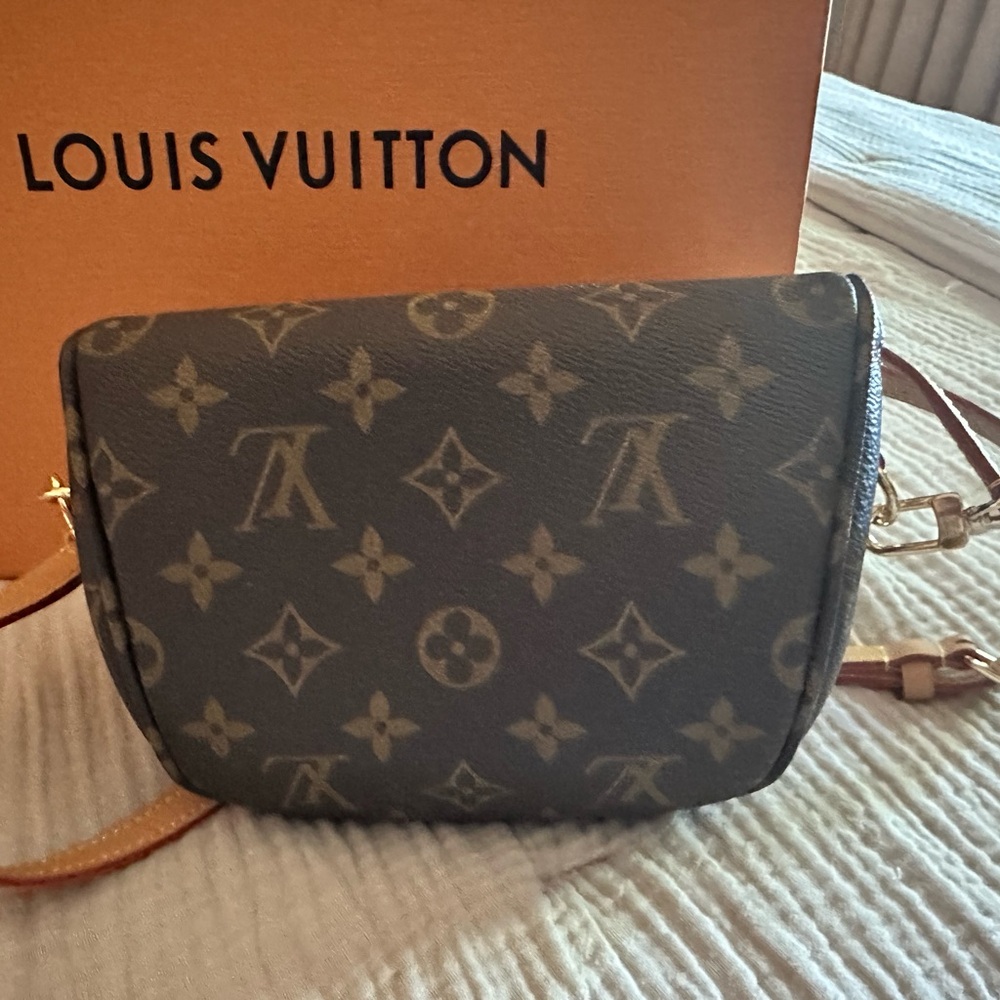 Louis Vuitton Mini Bum Bag LV in Monogram - Picture 15 of 16
